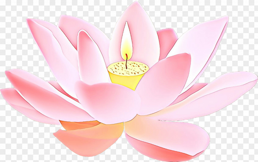 Water Lily Plant Lotus PNG