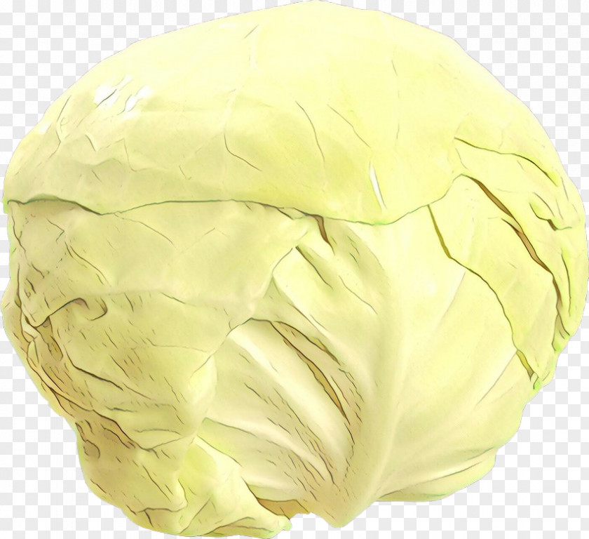 Food Wild Cabbage Yellow PNG