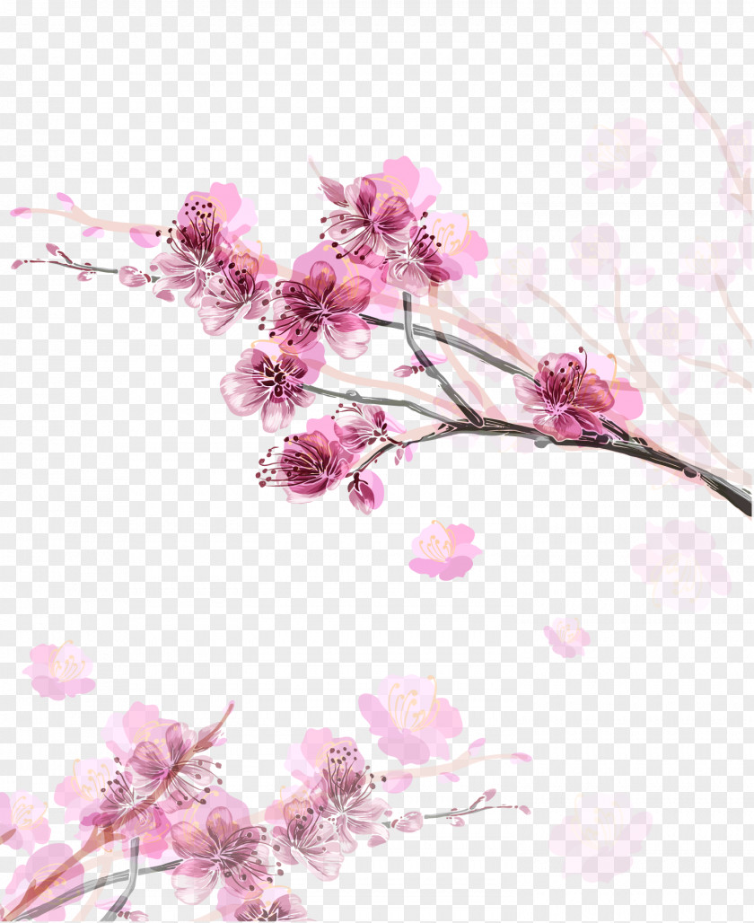 Hand Painted Pink Peach Vector Paper Cherry Blossom Flower PNG