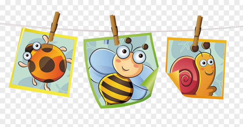 Insect Photos Bee Cartoon PNG