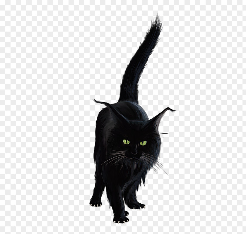 Souvent Fleur Chauvesouris Bombay Cat Black Clip Art Image PNG