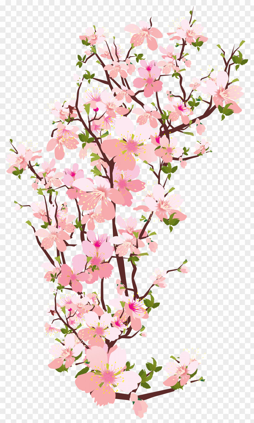 Spring Tree Branch Transparent Clip Art Image PNG