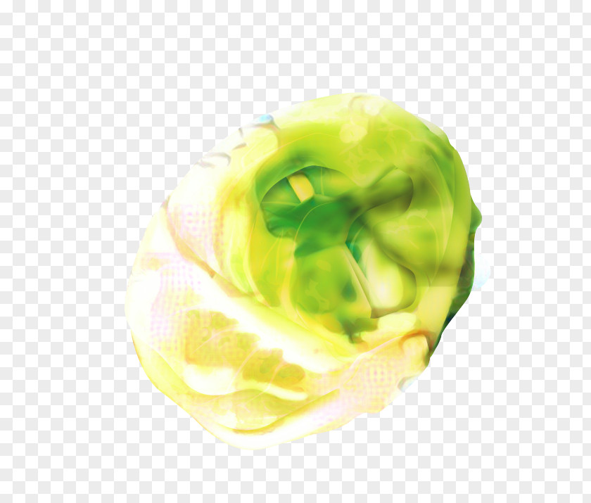 Brussels Sprout Lettuce Green Leaf Background PNG