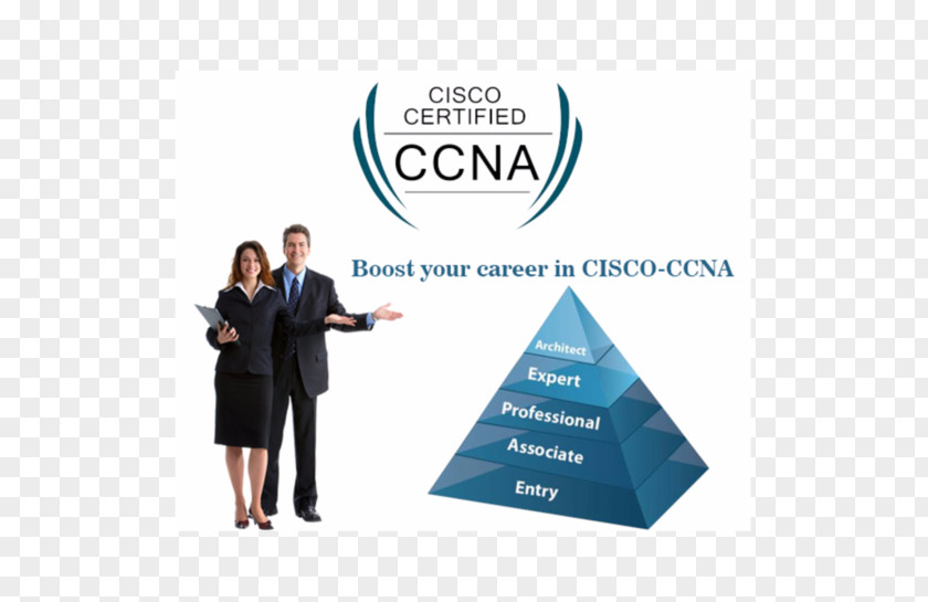 Business CCNA CCIE Certification Juniper Networks Cisco Systems PNG