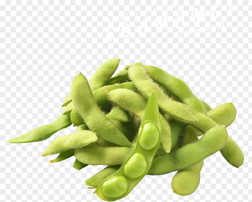Edamame EPIC Group Green Bean Food PNG