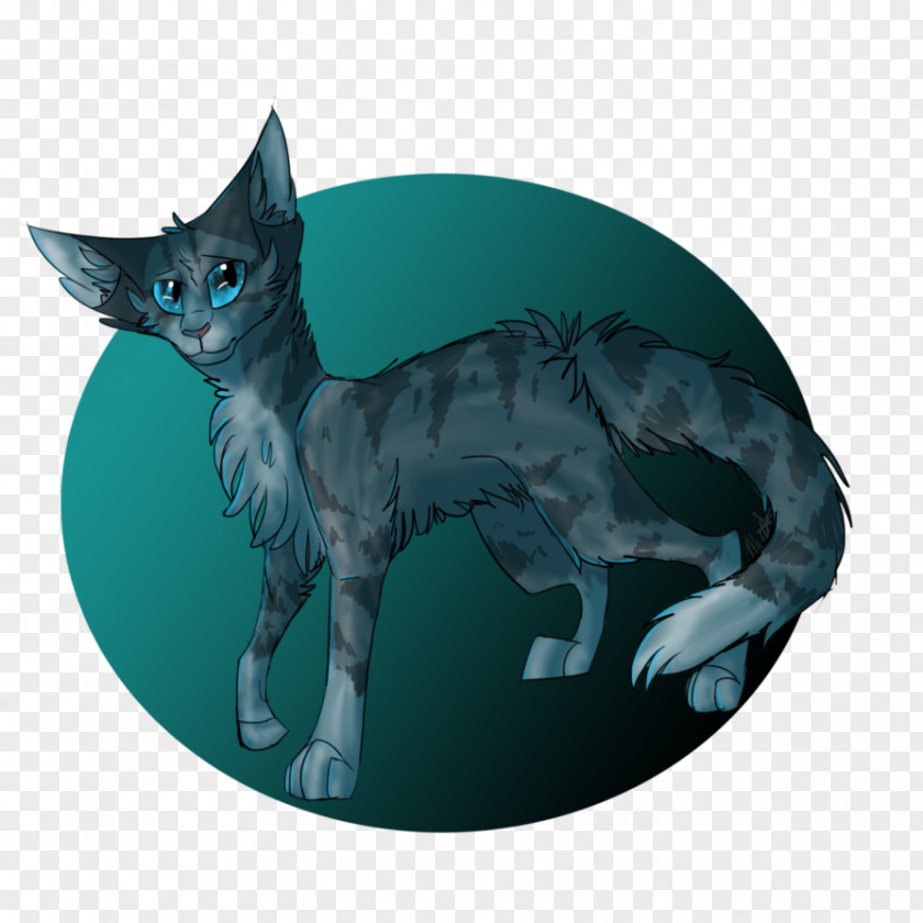 Kitten Whiskers Korat Tail Teal PNG