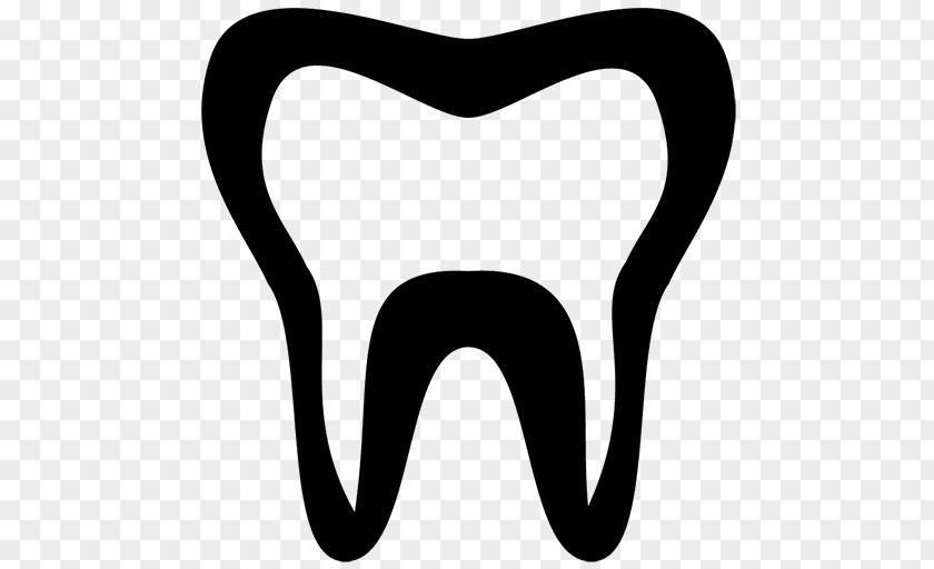 Teeth Dentistry Tooth PNG