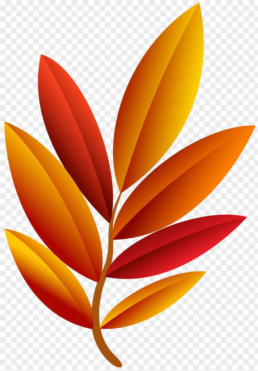 Autumn Leaf Image File Formats Lossless Compression PNG