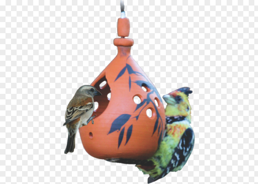 Birdhouse Songbird Cartoon Nature Background PNG