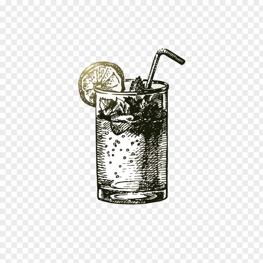 Cocktail Mojito Margarita Pixc3xb1a Colada Martini PNG