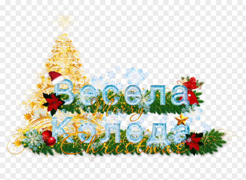 Design Floral Christmas Ornament Desktop Wallpaper PNG