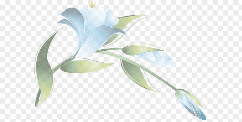 Flower Petal Floral Design Plant Stem PNG