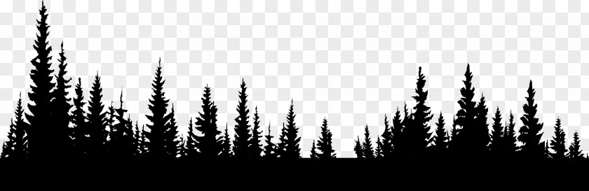 Forest Display Resolution Image File Formats Clip Art PNG