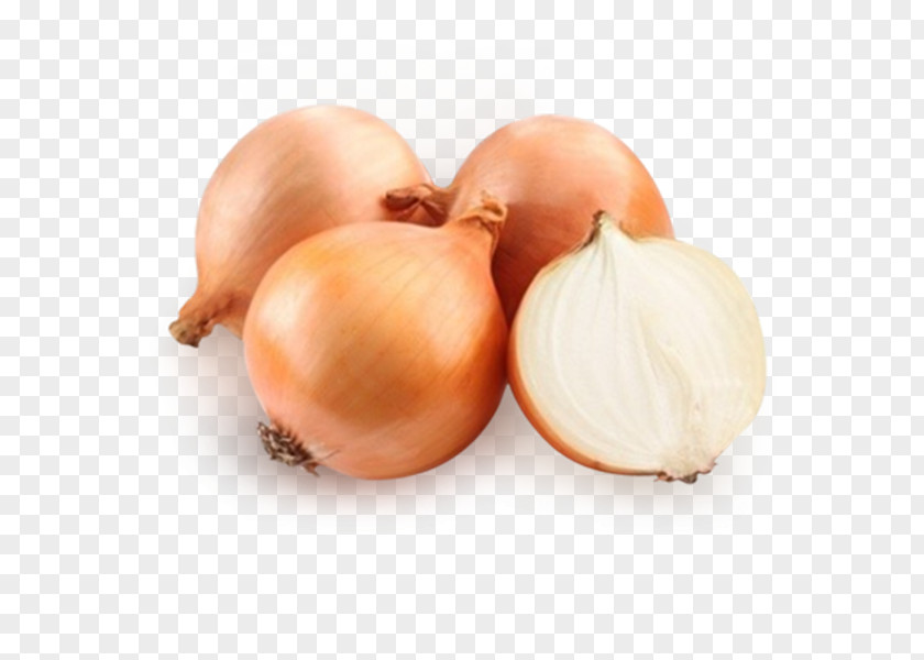 Onion Vegetable Food Photography Legume PNG