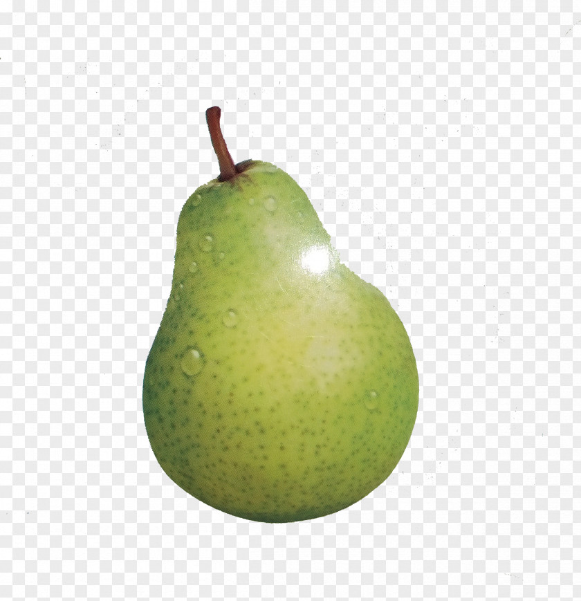 Pears Pictures European Pear Fruit PNG