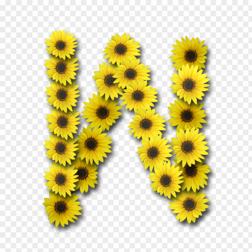 Sunflower Letter Case N Alphabet Desktop Wallpaper PNG