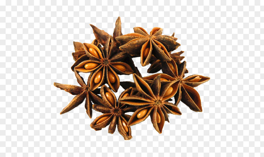 Aniseed Star Anise Spice Chinese Cuisine Mulled Wine PNG