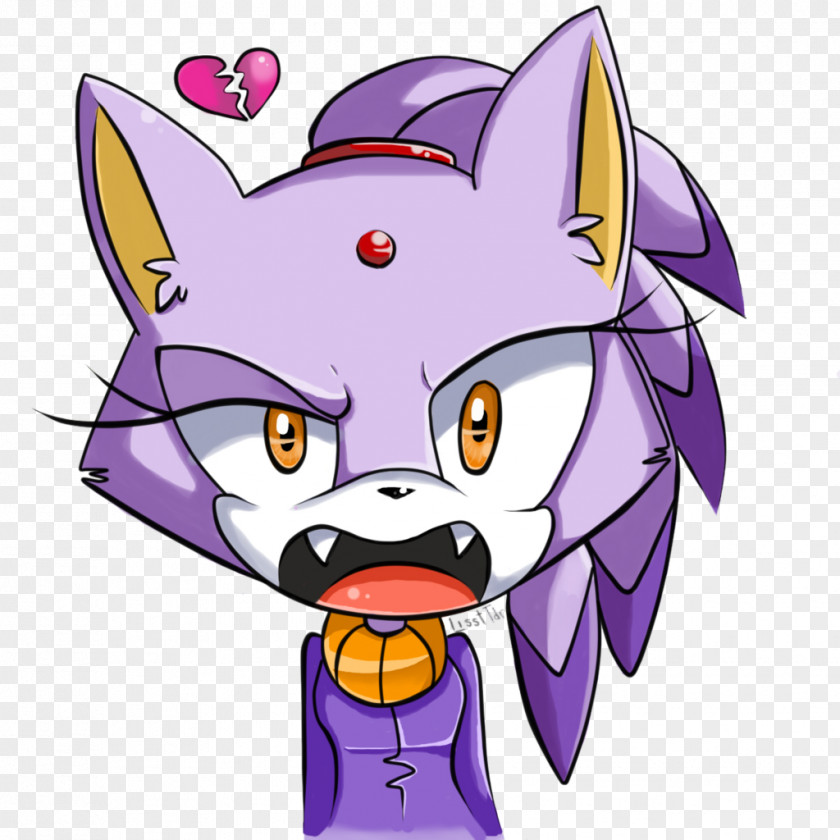 Blaze Whiskers The Cat Amy Rose Shadow Hedgehog PNG