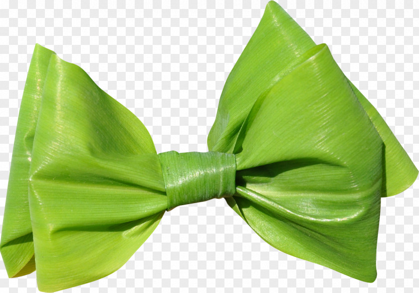 BOW TIE Green Leaf Shoelace Knot Ribbon PNG