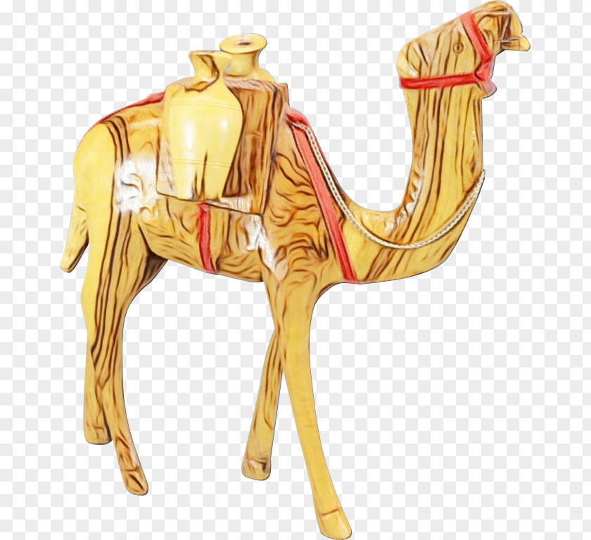 Camels Figurine Science Biology PNG