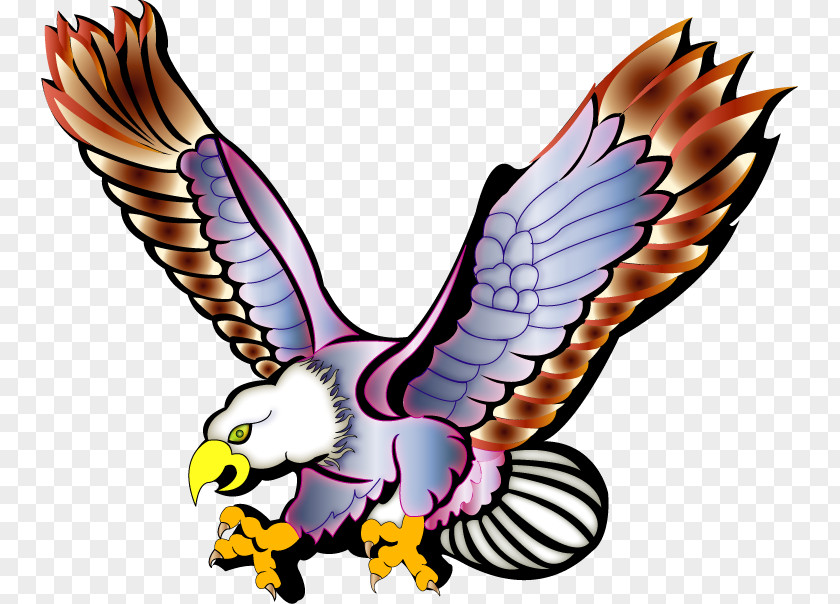Eagle Bald Águilas Clip Art PNG