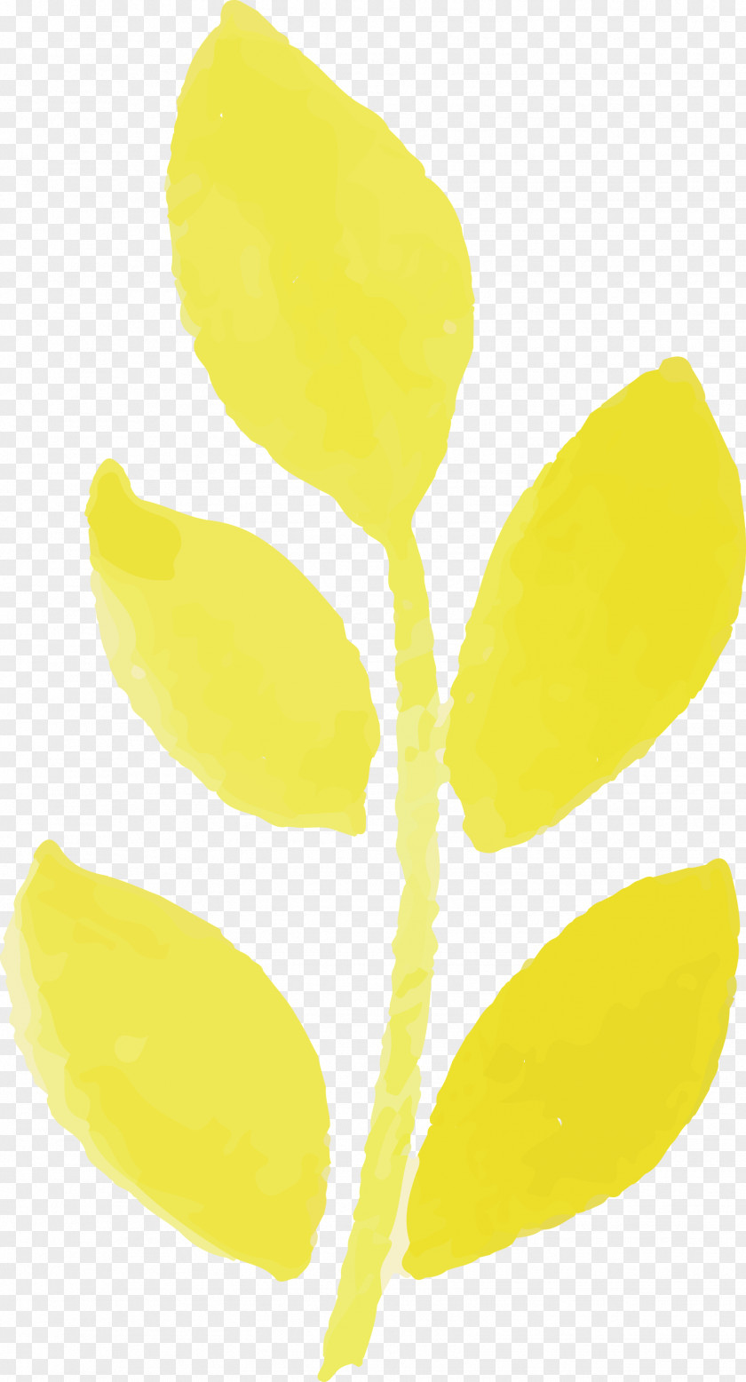 Plant Stem Leaf Yellow Commodity Fruit PNG