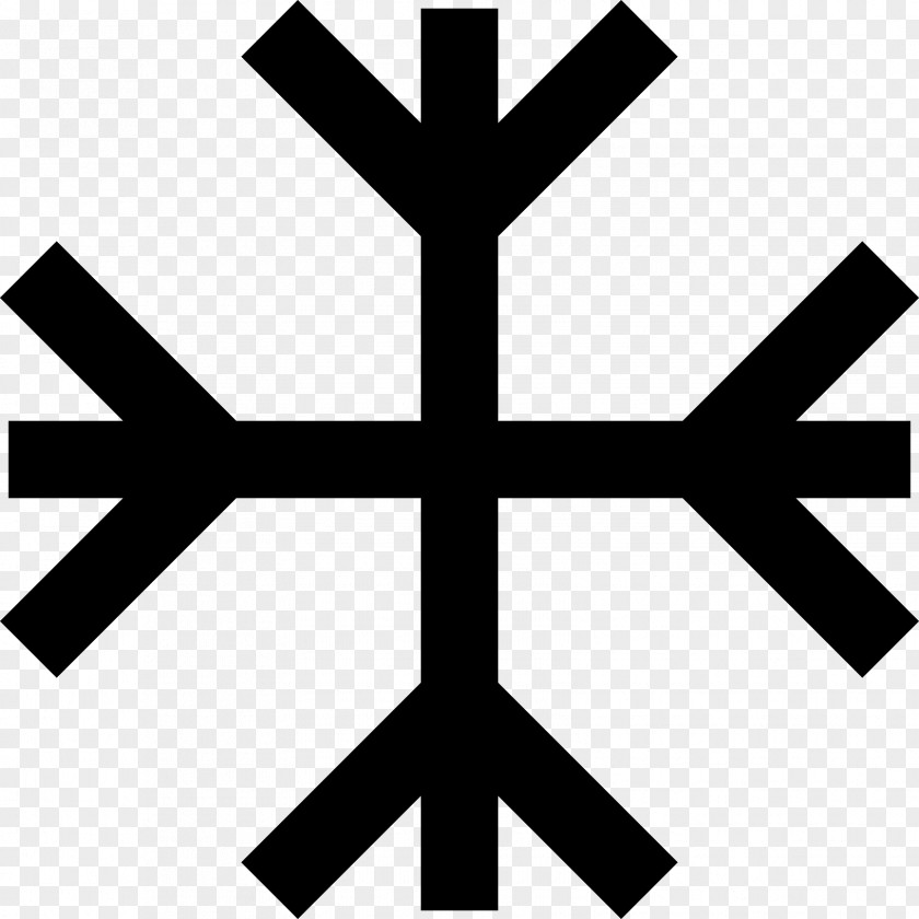 Snowflake Party Of The Swedes Political Logo PNG