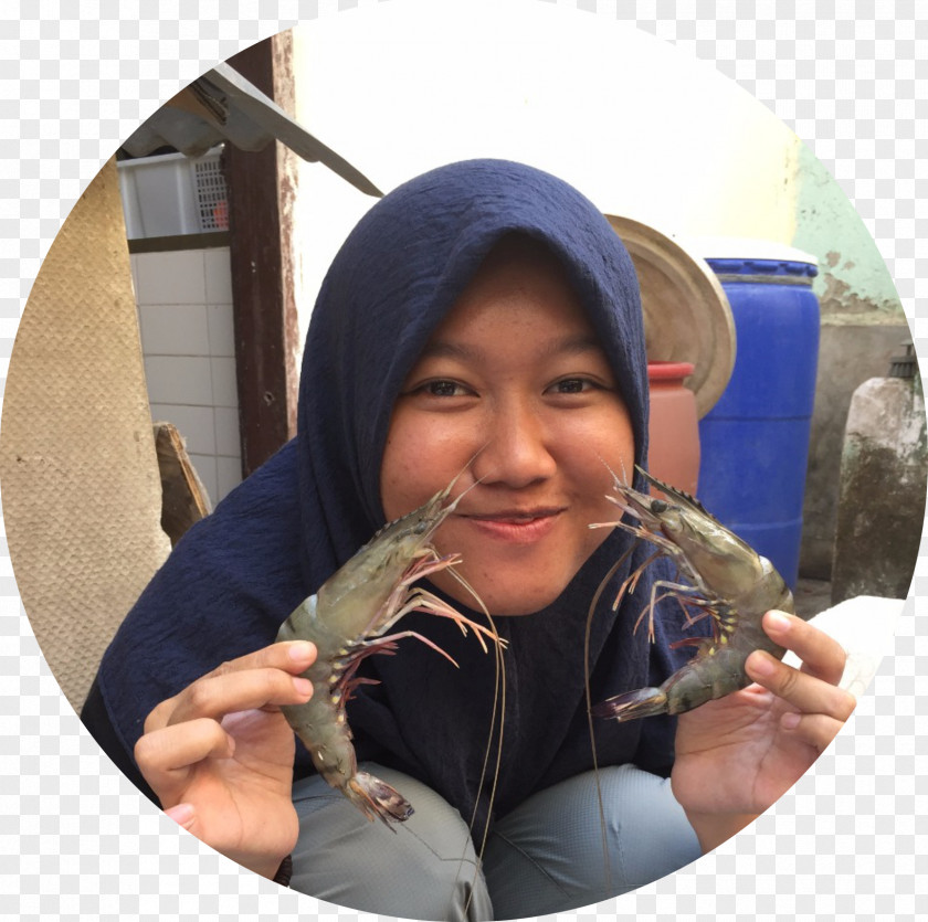 Aquaculture Hasanuddin University Universitas Budi Daya PNG
