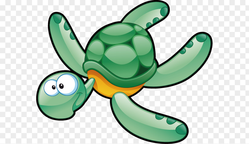 Cute Cartoon Turtle Green Sea Drawing PNG