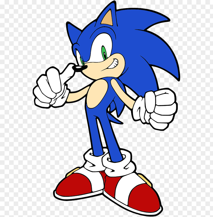 Hedgehog Sonic The Doctor Eggman Amy Rose Metal PNG