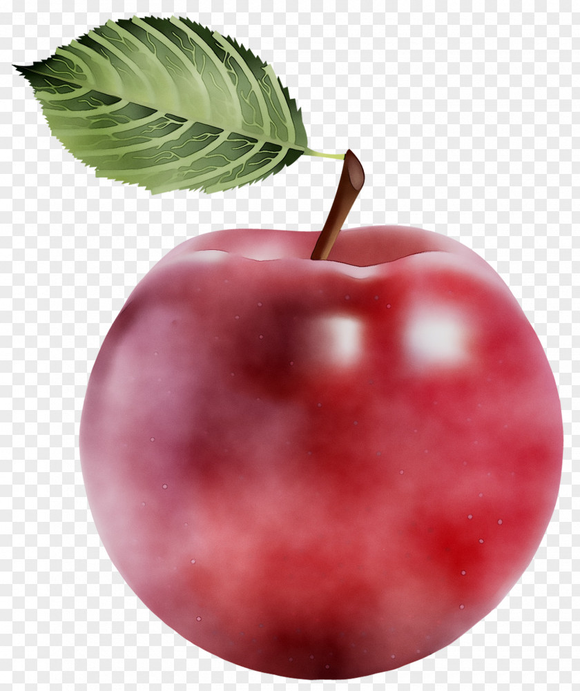 Natural Foods Accessory Fruit Apple PNG