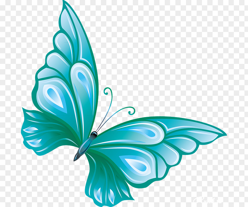 Butterfly Clip Art Image Openclipart PNG