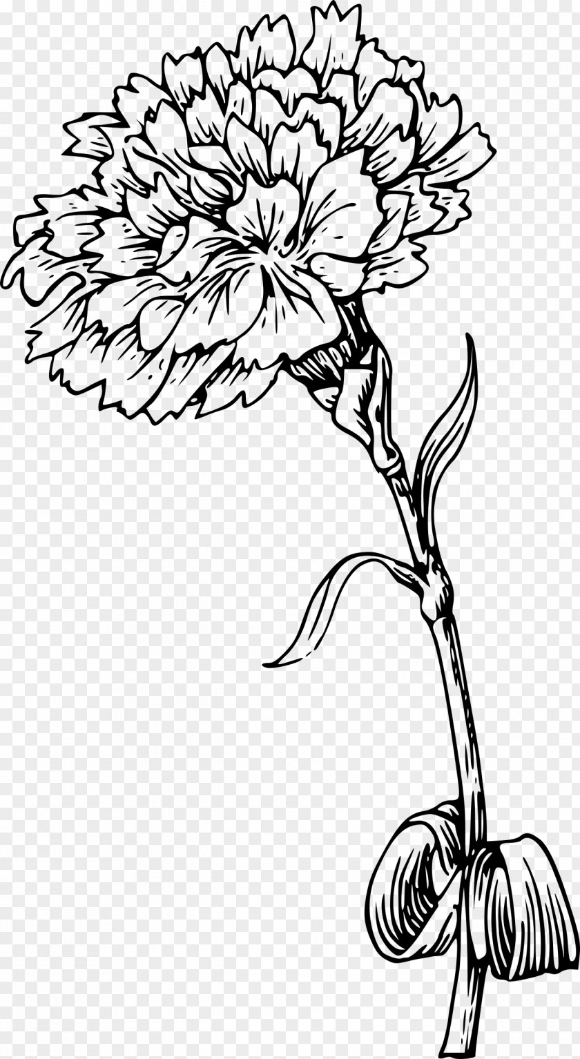 Gladiolus Carnation Flower Tattoo Clip Art PNG