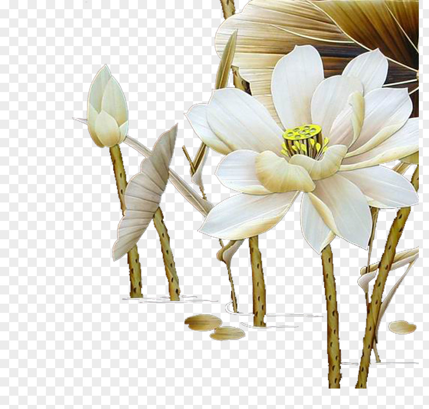 Lotus Flower Art PNG