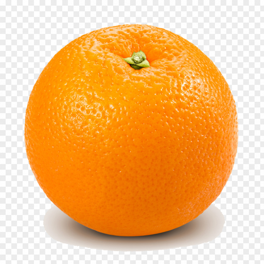 Orange Transparent Grapefruit Bitter Lemon PNG