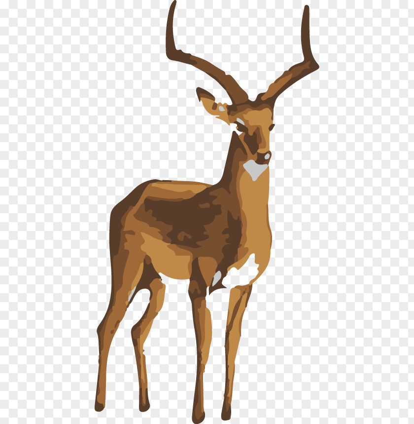 Elk,deer Elk Deer Art Painting PNG