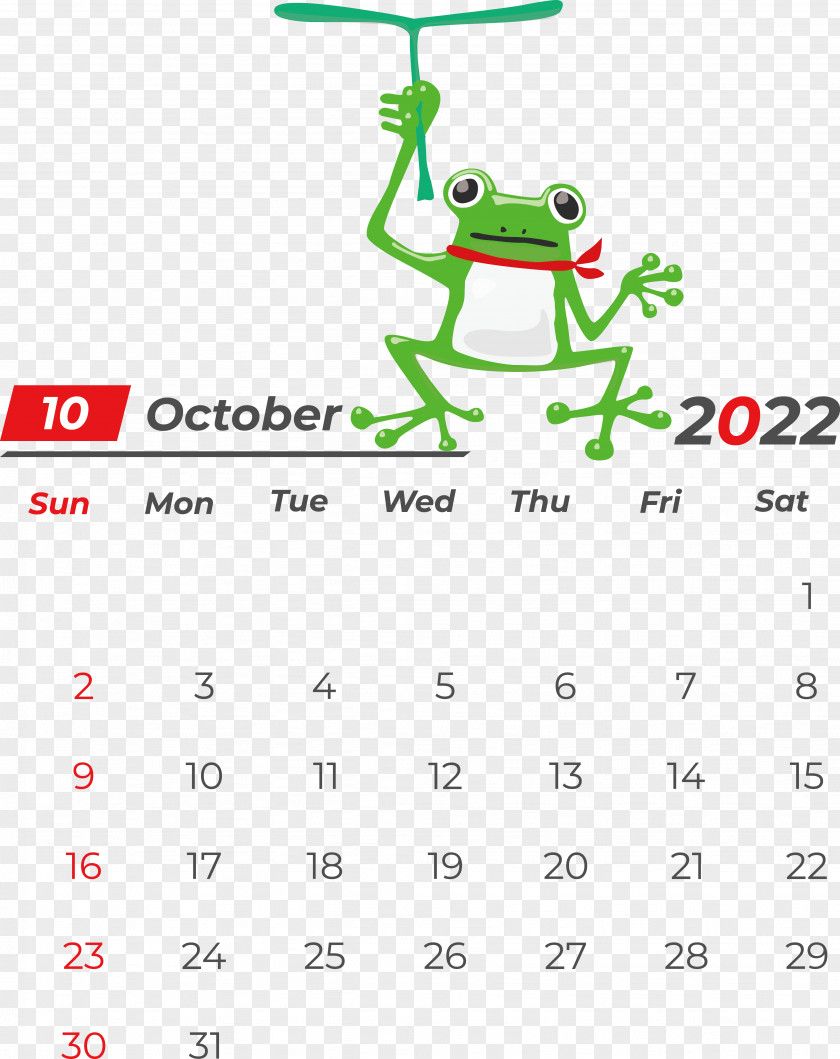 Frogs Pond Frogs Frog Drawing Toad PNG