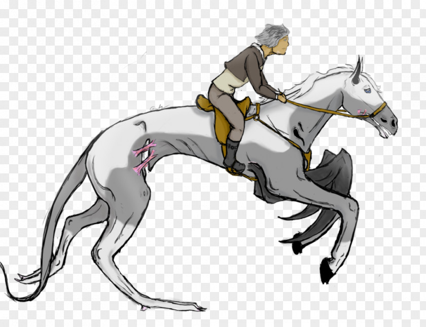 Mustang Pony English Riding Rein Mane PNG