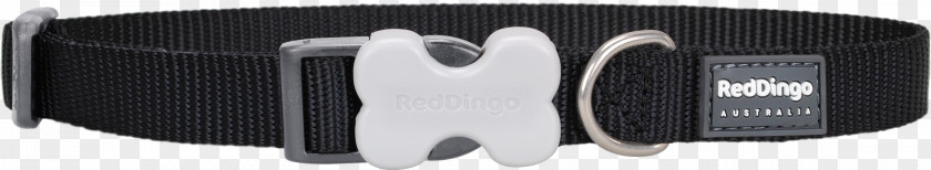 Red Collar Dog Dingo Leash PNG