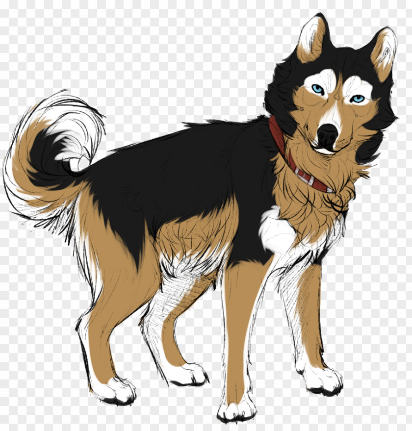 Akita Husky Mix Siberian Dog Breed Drawing Sakhalin Shikoku PNG