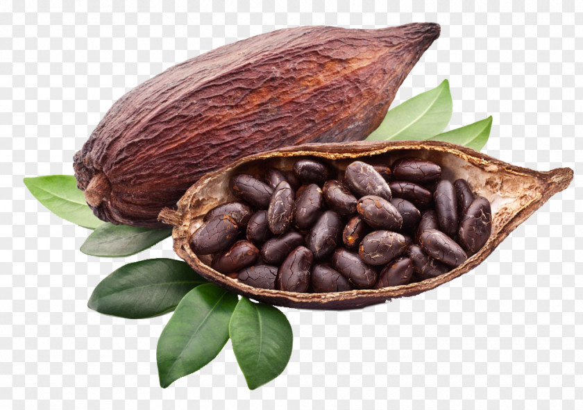 Baking Cocoa Criollo Bean Solids Trinitario Chocolate PNG