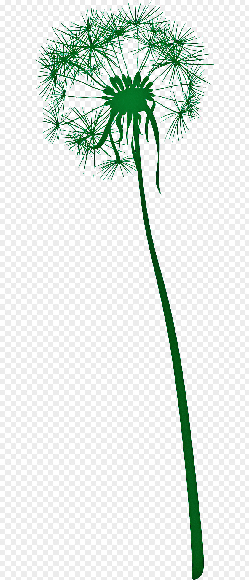 Dandelion PNG