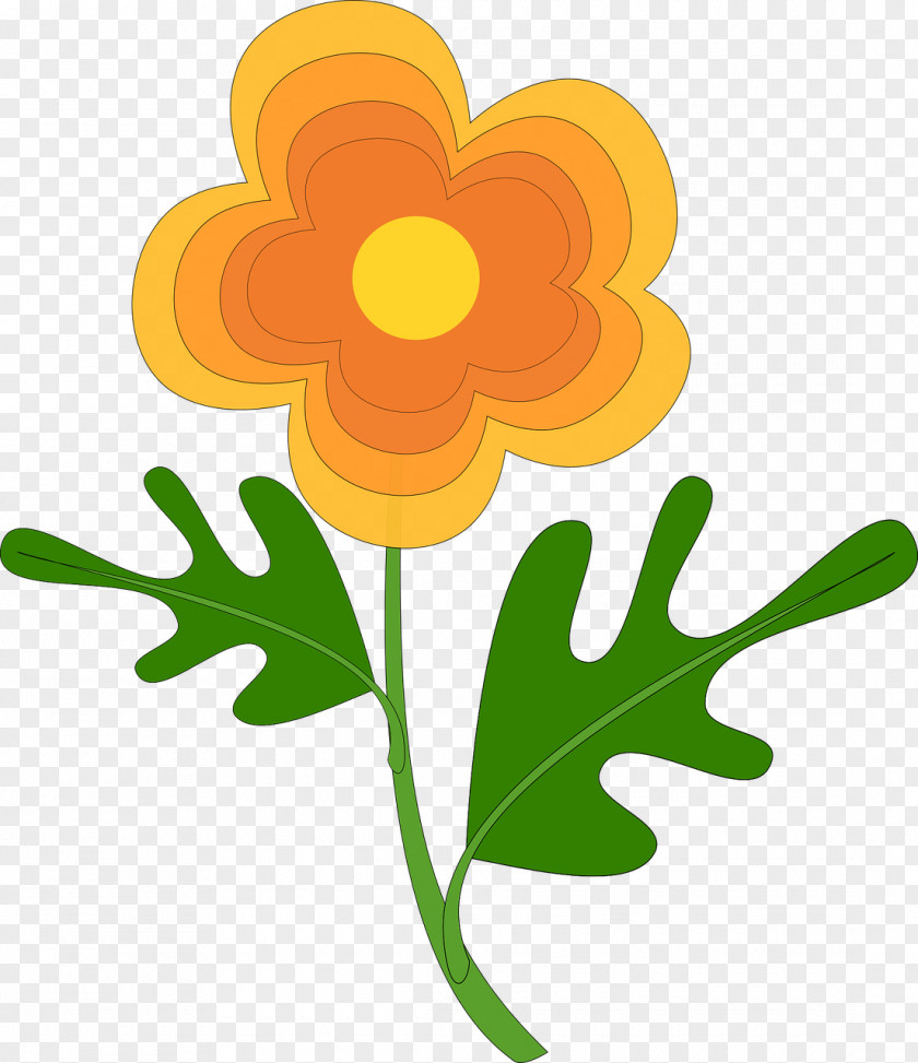 Orange Clip Art Flower Color Drawing PNG