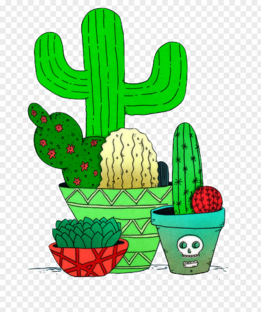Cactus Cacti And Succulents Succulent Plant Image Floral Illustrations PNG
