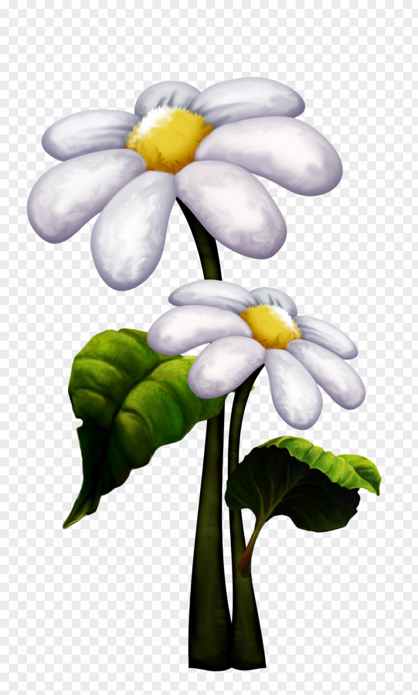Duende Photography Petal Flower Clip Art PNG