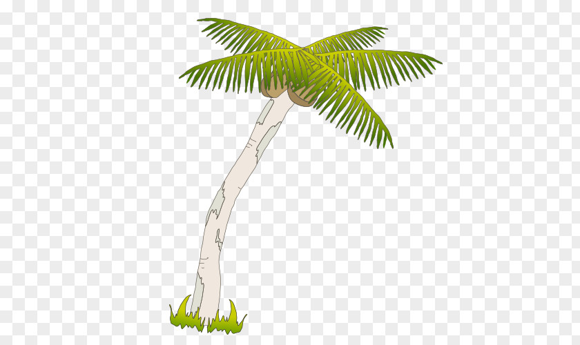 Hand-painted Cartoon Coconut Picture Arecaceae Drawing Tree PNG