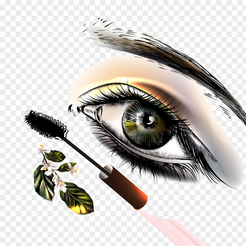 Hand-painted Eyes Vector Material Eyebrow Euclidean PNG