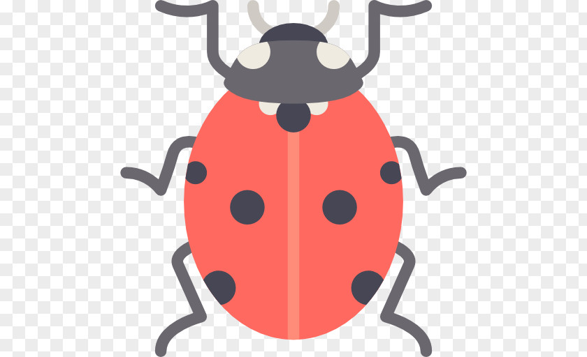 Mariquita Ladybird Beetle PNG
