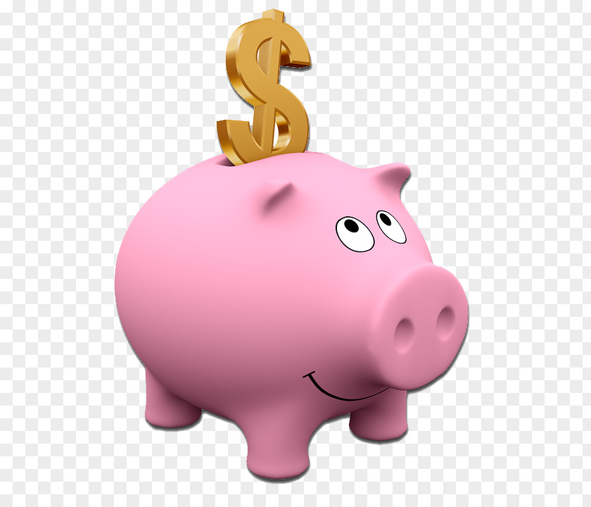 Piggy Bank Money Finance Family Organization Saving PNG