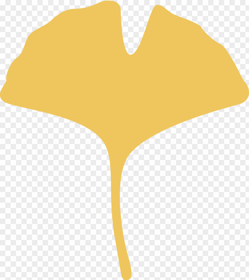 Plant Tree Ginkgo Leaf Gingko Maidenhair PNG